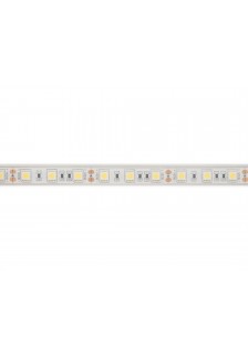 RUBAN LED 12V - 6500K - 300 LED - 5m - IP68