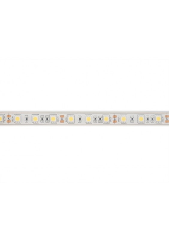 RUBAN LED 12V - 6500K - 300 LED - 5m - IP68