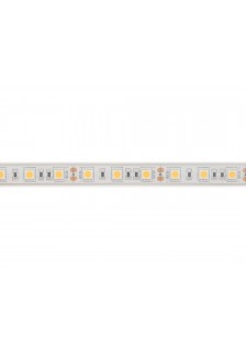 RUBAN LED 12V - 3000K - 300 LED - 5m - IP68