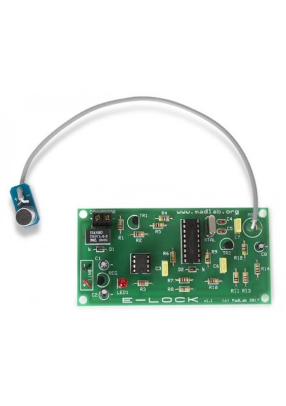 SERRURE ÉLECTRONIQUE À CODE DTMF - WSG101